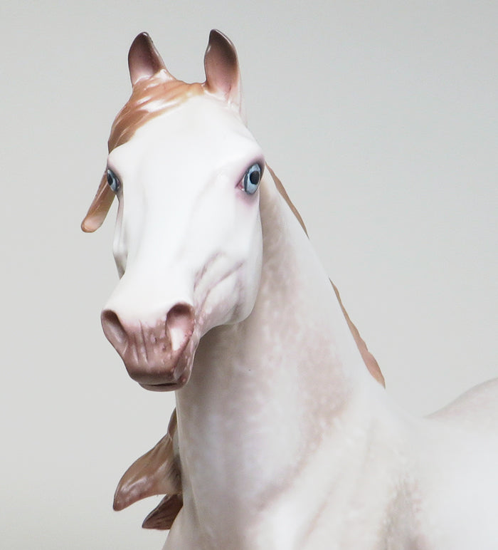 AMOROSO - OOAK PERLINO MORGAN MODEL HORSE by AL - 2/5