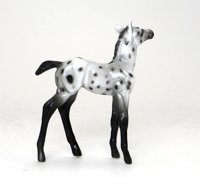 BEXLEY - OOAK APPALOOSA FOAL CHIP - 10/22