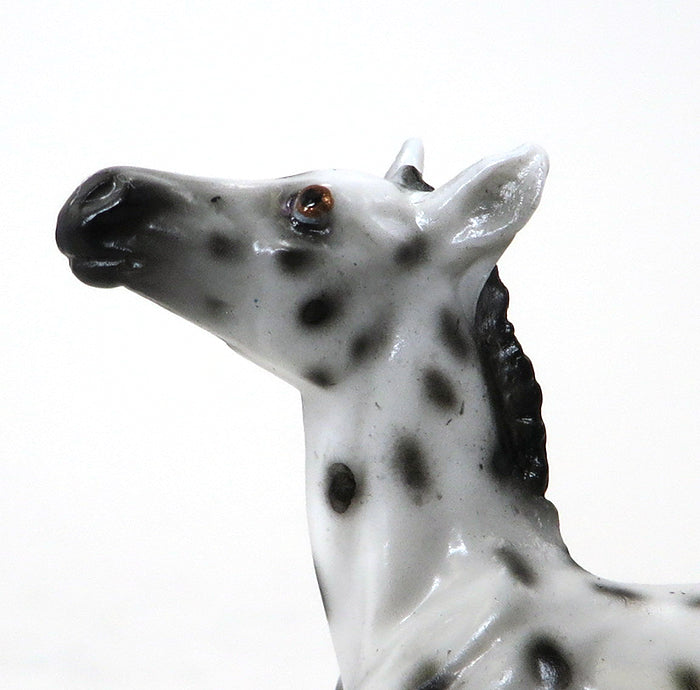 BEXLEY - OOAK APPALOOSA FOAL CHIP - 10/22