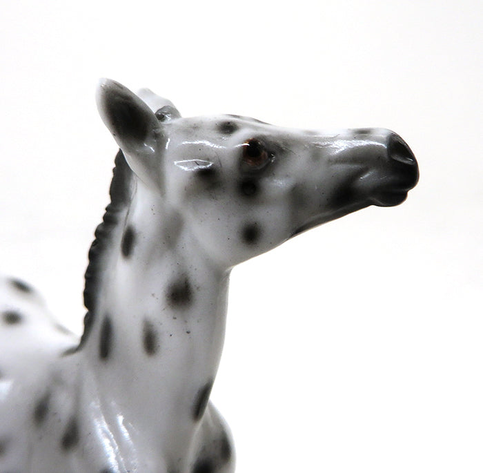 BEXLEY - OOAK APPALOOSA FOAL CHIP - 10/22