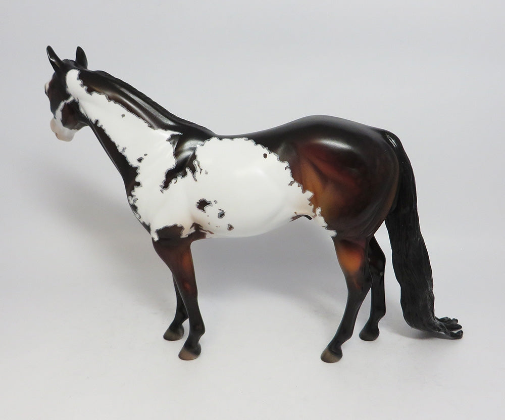 PARTY TIME-OOAK DAPPLE BAY OVERO ISH WITH MAPPING SUPER BOWL SALE 2018