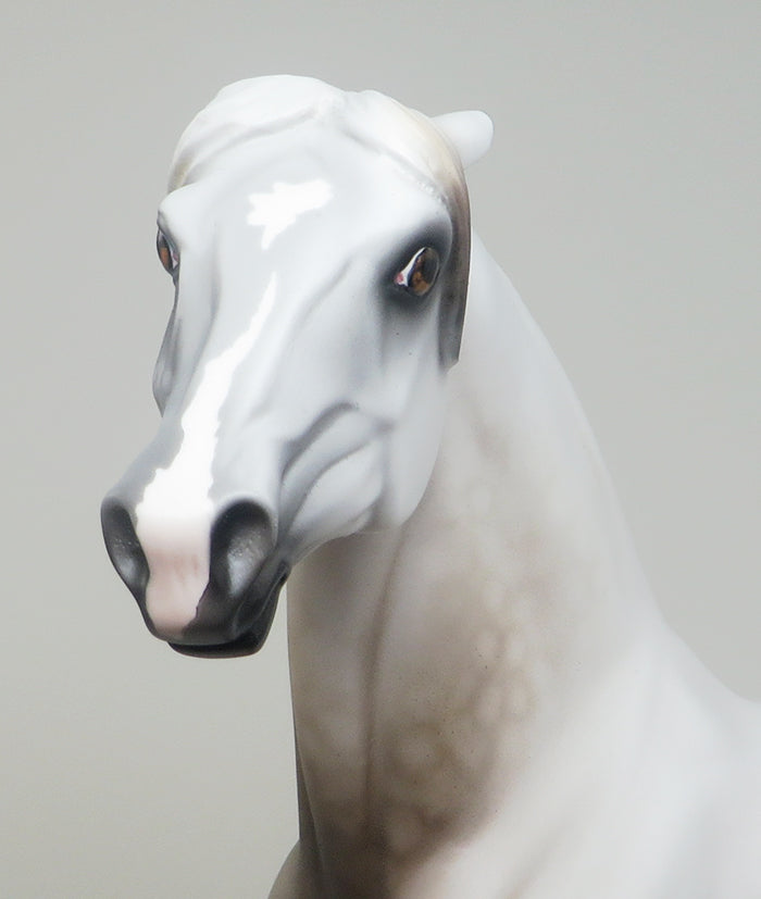 AMOUR - DAPPLE ROSE GREY PINNED EAR MORGAN LIMITED EDITION MODEL HORSE - LE4 - 2/5