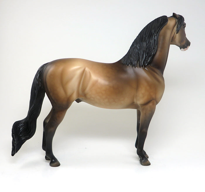 THETIS - DAPPLED BUCKSKIN PINNED EAR MORGAN LIMITED EDITION MODEL HORSE - LE4 - 2/8