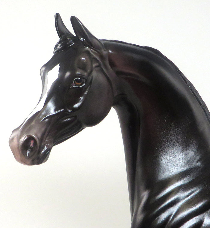 TRUMPETT - OOAK BLACK APPALOOSA ARABIAN MODEL HORSE - 2/8