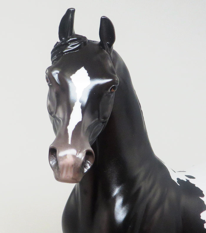 TRUMPETT - OOAK BLACK APPALOOSA ARABIAN MODEL HORSE - 2/8