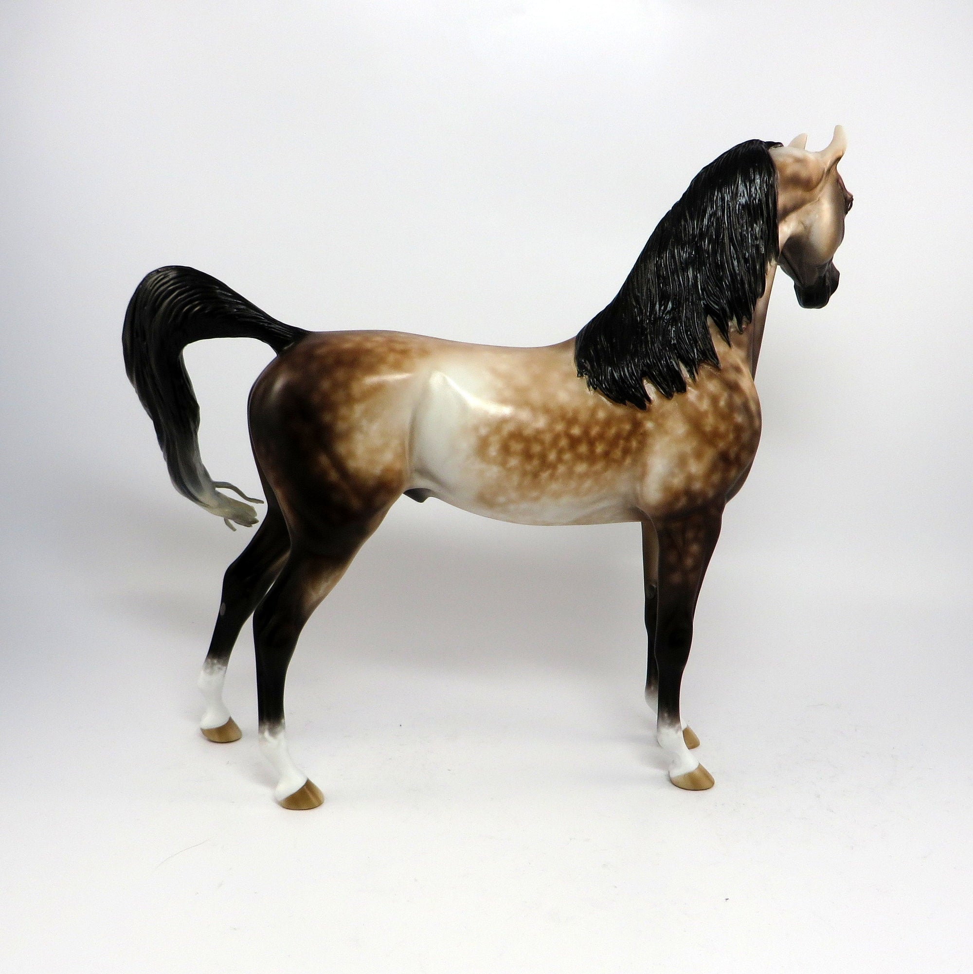 CONCERTO~OOAK STAR DAPPLE BUCKSKIN ARABIAN MODEL HORSE BY SHERYL LEISURE 6/16/17