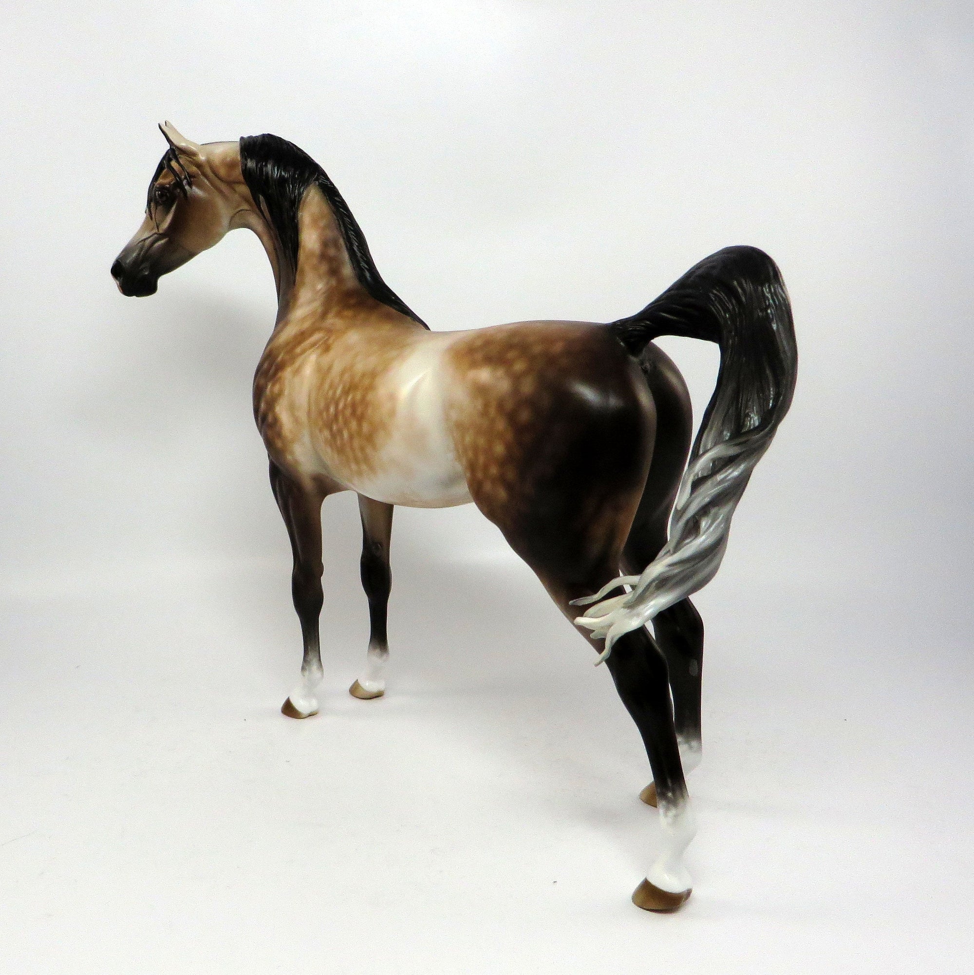 CONCERTO~OOAK STAR DAPPLE BUCKSKIN ARABIAN MODEL HORSE BY SHERYL LEISURE 6/16/17