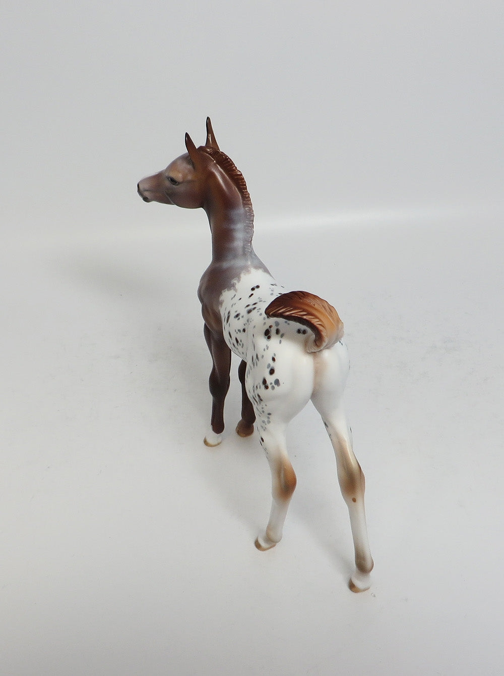 FUMBLE-OOAK CHESTNUT ARABIAN FOAL MODEL HORSE SUPER BOWL SALE 2018