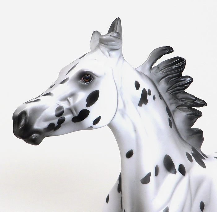 TARGARYEN-OOAK-APPALOOSA YEARLING MODEL HORSE 12/29