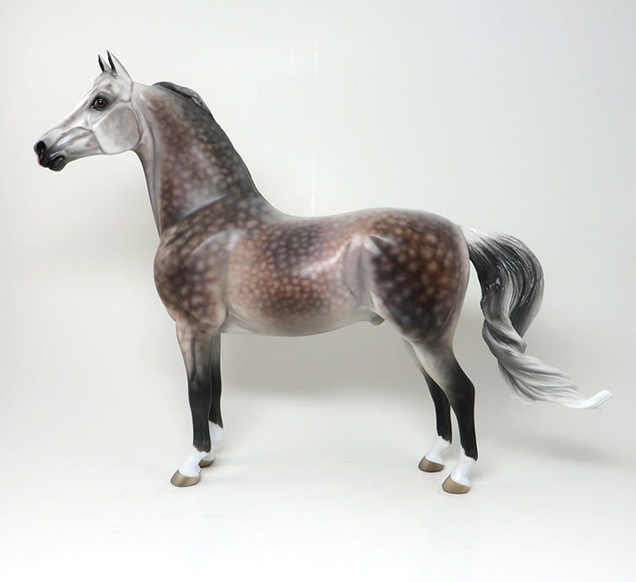 CANDID PHOTO - OOAK DAPPLE ROSE GREY MORGAN MODEL HORSE by SHERYL LEISURE - 2/12