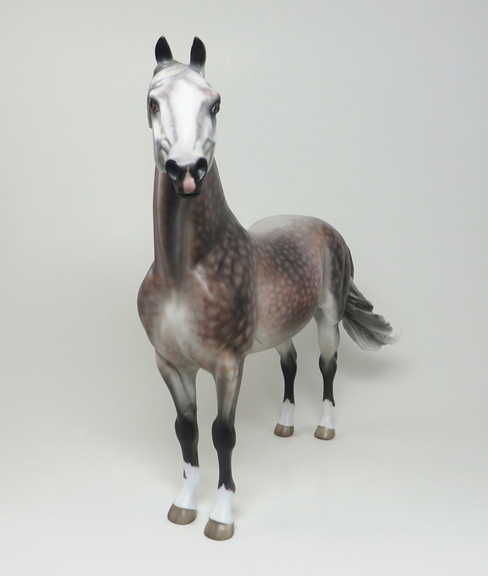 CANDID PHOTO - OOAK DAPPLE ROSE GREY MORGAN MODEL HORSE by SHERYL LEISURE - 2/12