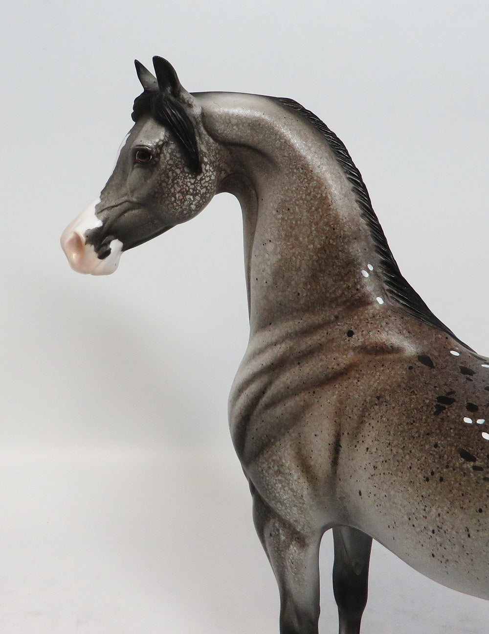 ROSTER - OOAK APPALOOSA ARABIAN MODEL HORSE SUPER BOWL 2018