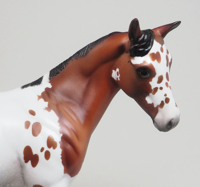 BOY OF MALARKEY - OOAK BAY APPALOOSA WEANLING MODEL HORSE - 2/12