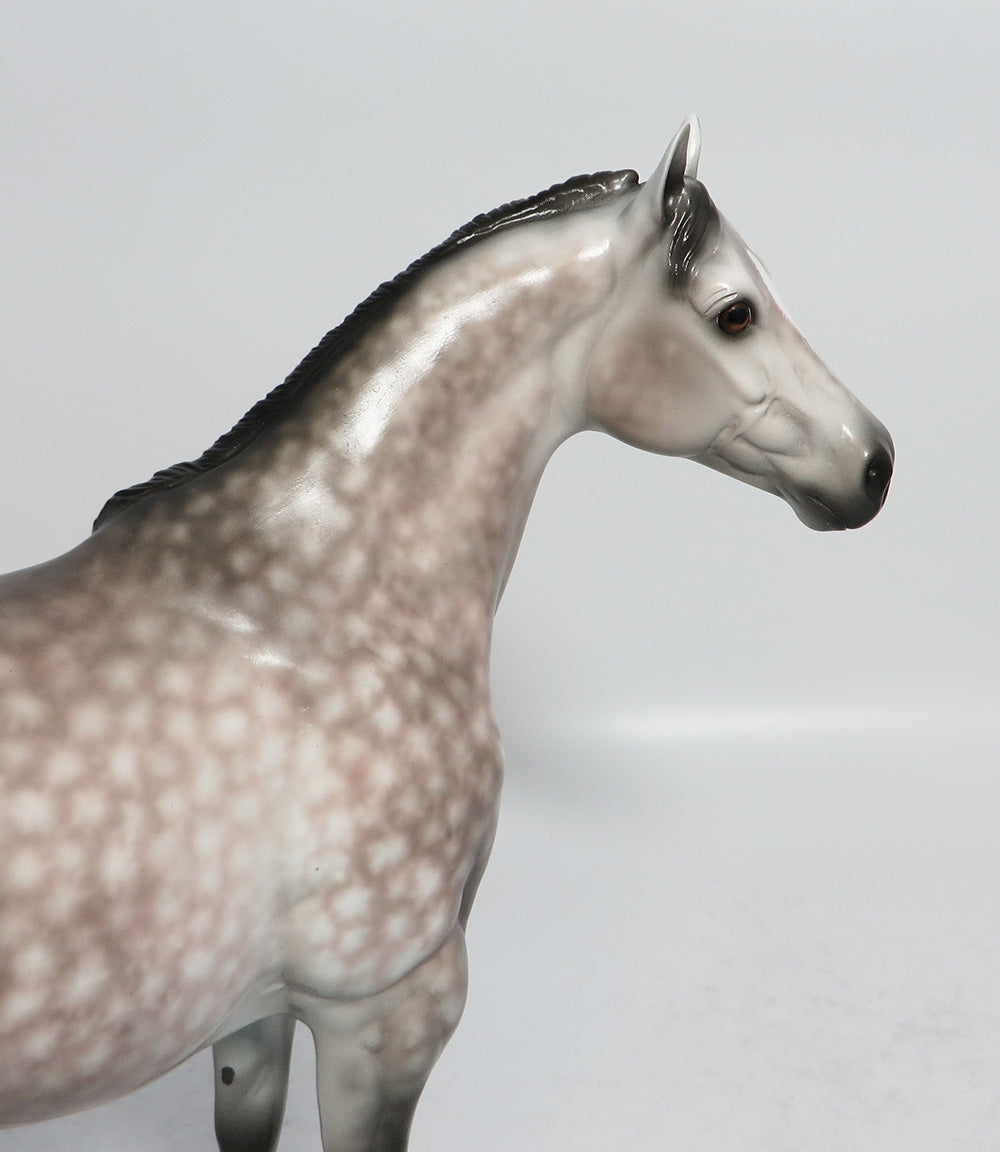 BEST INTENTIONS - OOAK STAR DAPPLE ROSY GREY ISH MODEL HORSE BY SHERYL LEISURE 1/19/18