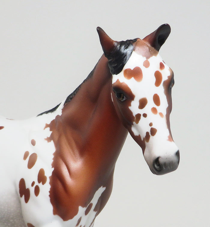 BOY OF MALARKEY - OOAK BAY APPALOOSA WEANLING MODEL HORSE - 2/12
