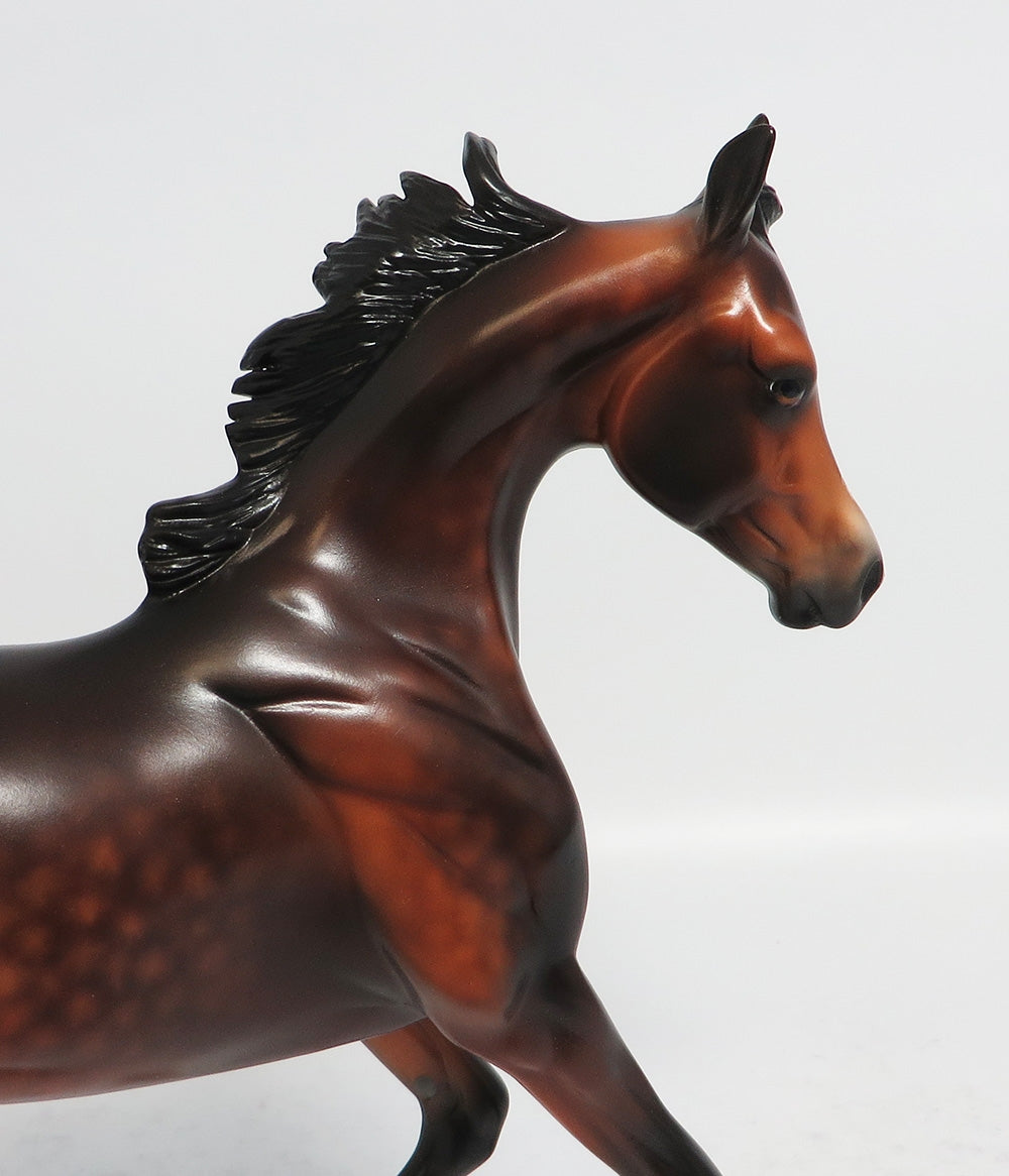 GOT THE NOTION - OOAK DAPPLE BAY YEARLING MODEL HORSE SUPER BOWL SALE 2018