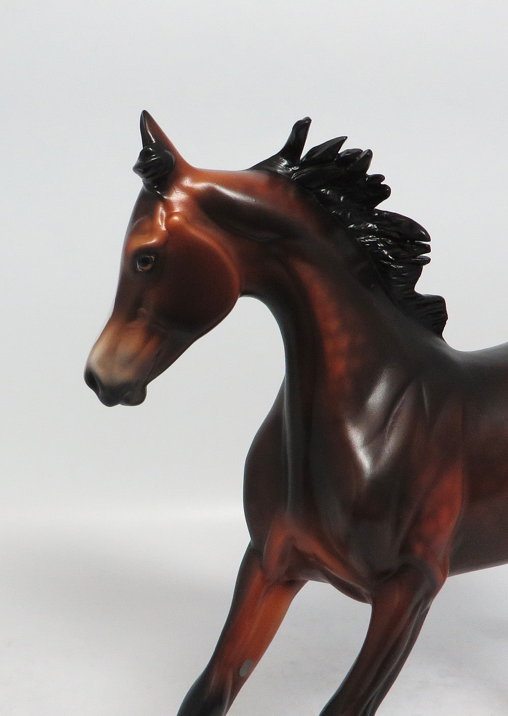 GOT THE NOTION - OOAK DAPPLE BAY YEARLING MODEL HORSE SUPER BOWL SALE 2018