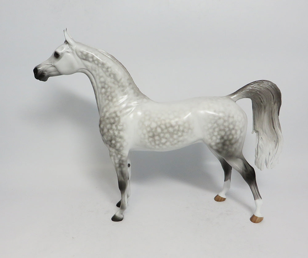 SHOT IN THE DARK - OOAK STAR DAPPLE GREY ARABIAN MODEL HORSE BY SHERYL LEISURE 1/19/18