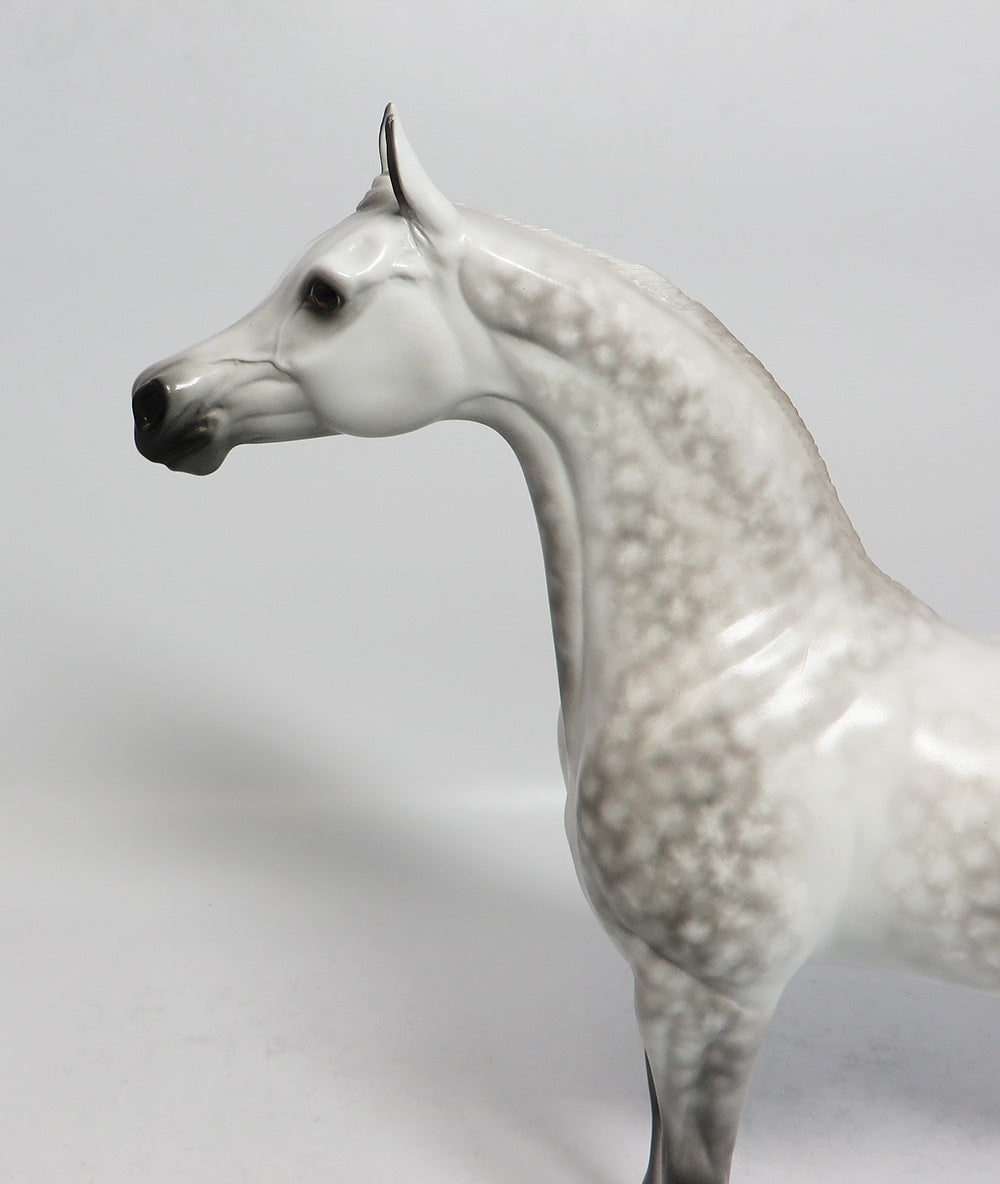 SHOT IN THE DARK - OOAK STAR DAPPLE GREY ARABIAN MODEL HORSE BY SHERYL LEISURE 1/19/18