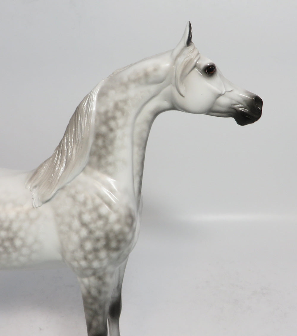 SHOT IN THE DARK - OOAK STAR DAPPLE GREY ARABIAN MODEL HORSE BY SHERYL LEISURE 1/19/18