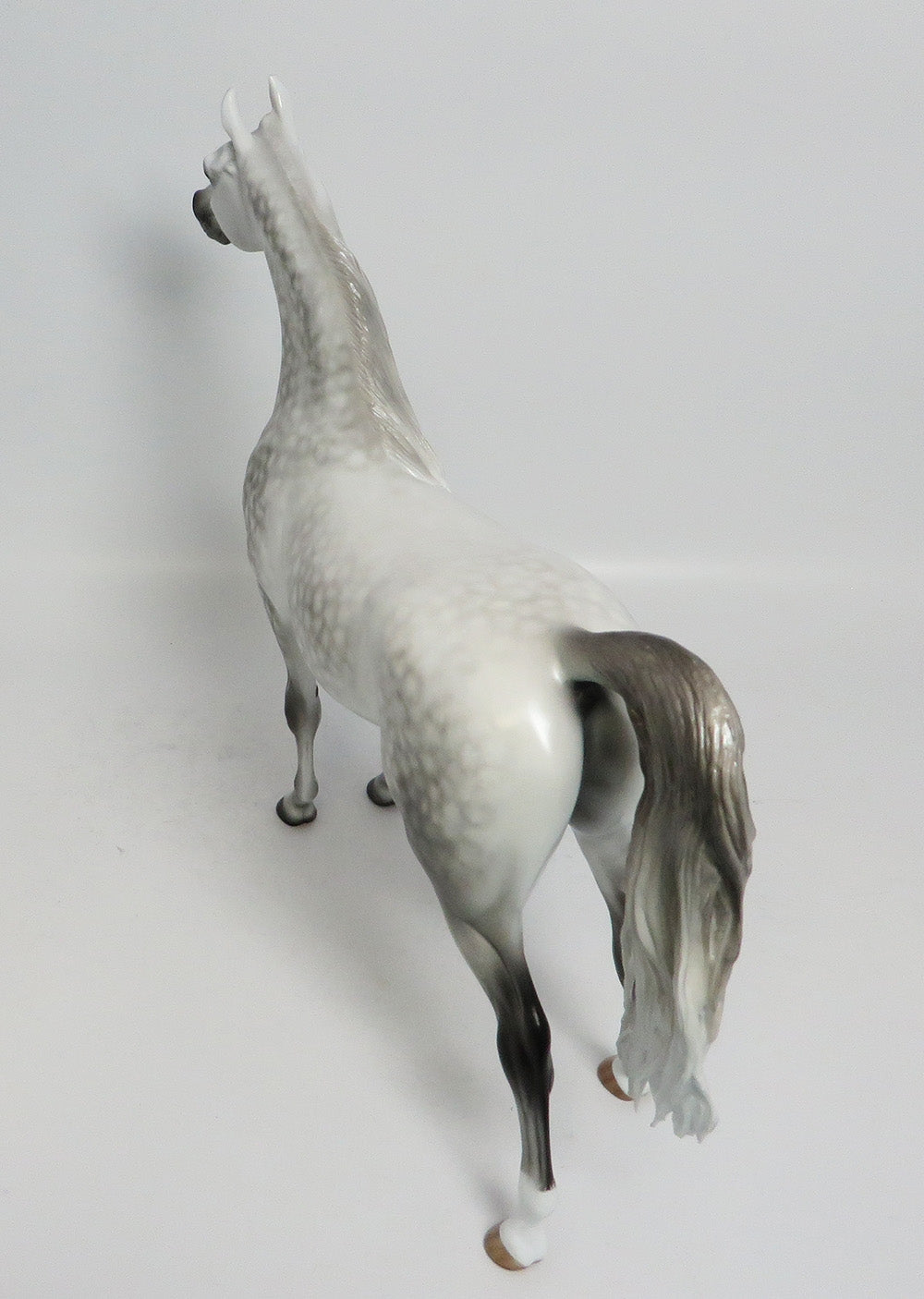 SHOT IN THE DARK - OOAK STAR DAPPLE GREY ARABIAN MODEL HORSE BY SHERYL LEISURE 1/19/18