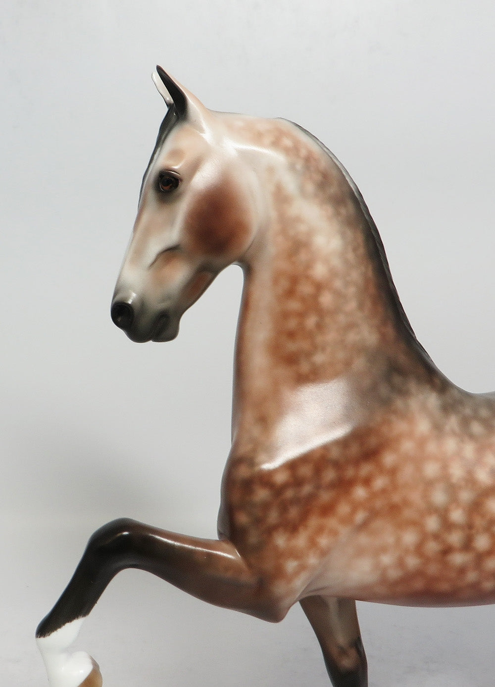 CALCULATED RISK - OOAK DAPPLE ROSE GREY SADDLEBRED MODEL HORSE SUPER BOWL SALE 2018