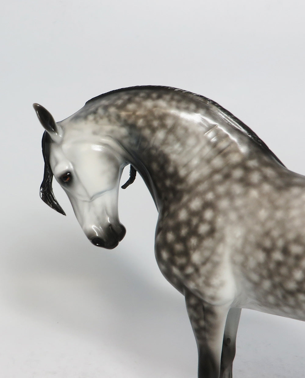 SMOOTH PERSUASION - OOAK STAR DAPPLE GREY ANDALUSIAN MODEL HORSE BY SHERYL LEISURE 1/19/18
