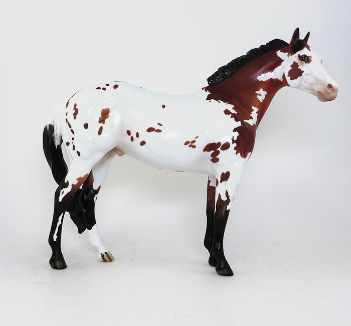 TIME WELL SPENT - OOAK BAY APPALOOSA MODEL HORSE - ISH - 10/23