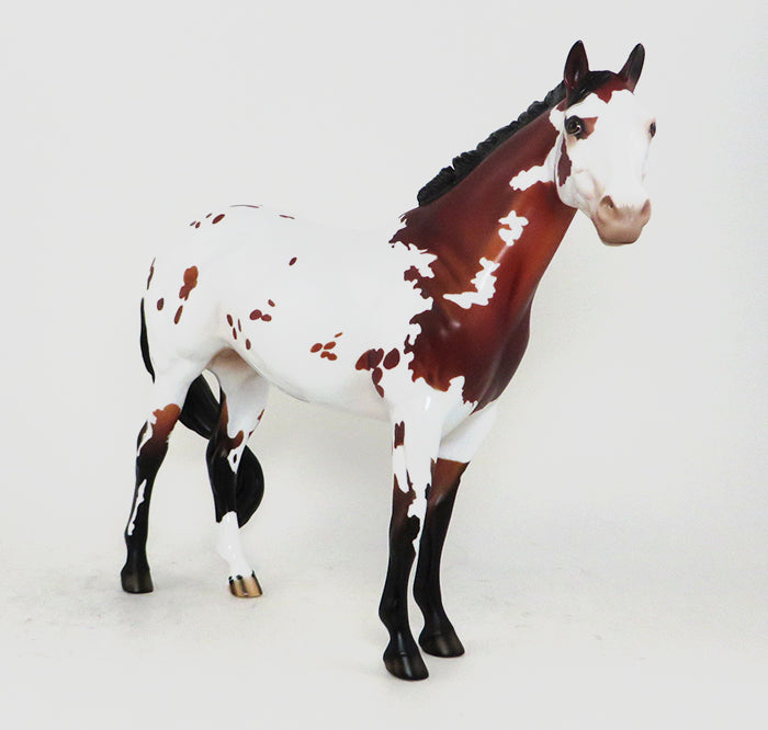 TIME WELL SPENT - OOAK BAY APPALOOSA MODEL HORSE - ISH - 10/23