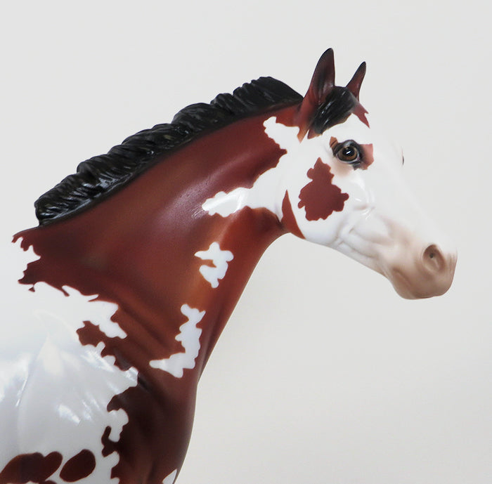 TIME WELL SPENT - OOAK BAY APPALOOSA MODEL HORSE - ISH - 10/23