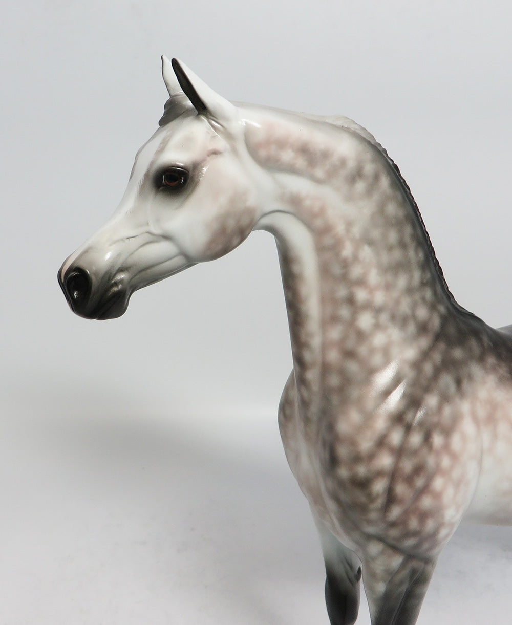 SNEAKING SUSPICION - OOAK STAR DAPPLE ROSE GREY ARABIAN MODEL HORSE BY SHERYL LEISURE 1/19/18