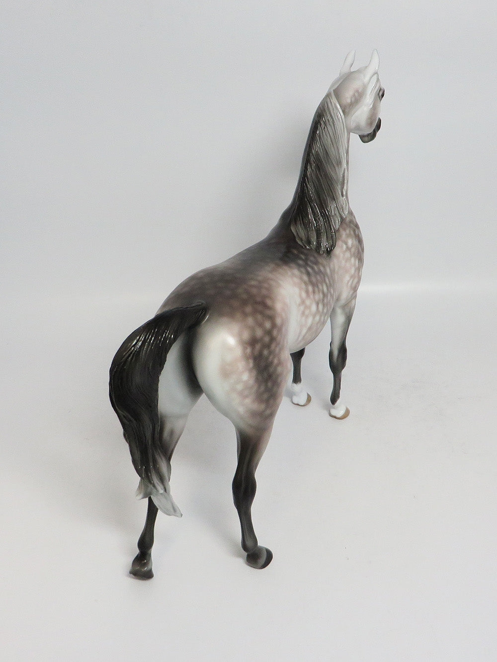 SNEAKING SUSPICION - OOAK STAR DAPPLE ROSE GREY ARABIAN MODEL HORSE BY SHERYL LEISURE 1/19/18