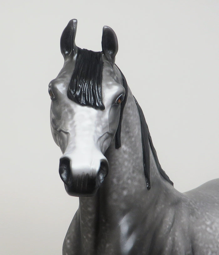SOUL MAN - DAPPLE GREY ARABIAN MODEL HORSE by AL - 2/12