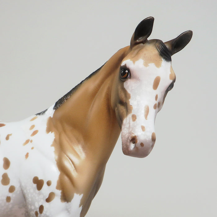 LIMITED EDITION MODEL HORSES