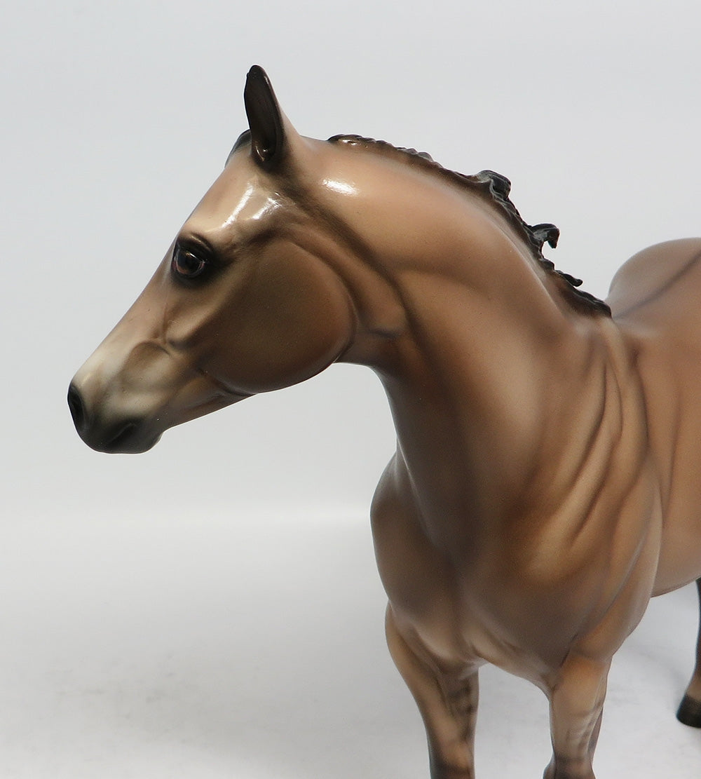ROCK STEADY - OOAK DUN ISH MODEL HORSE BY SHERYL LEISURE 1/19/18