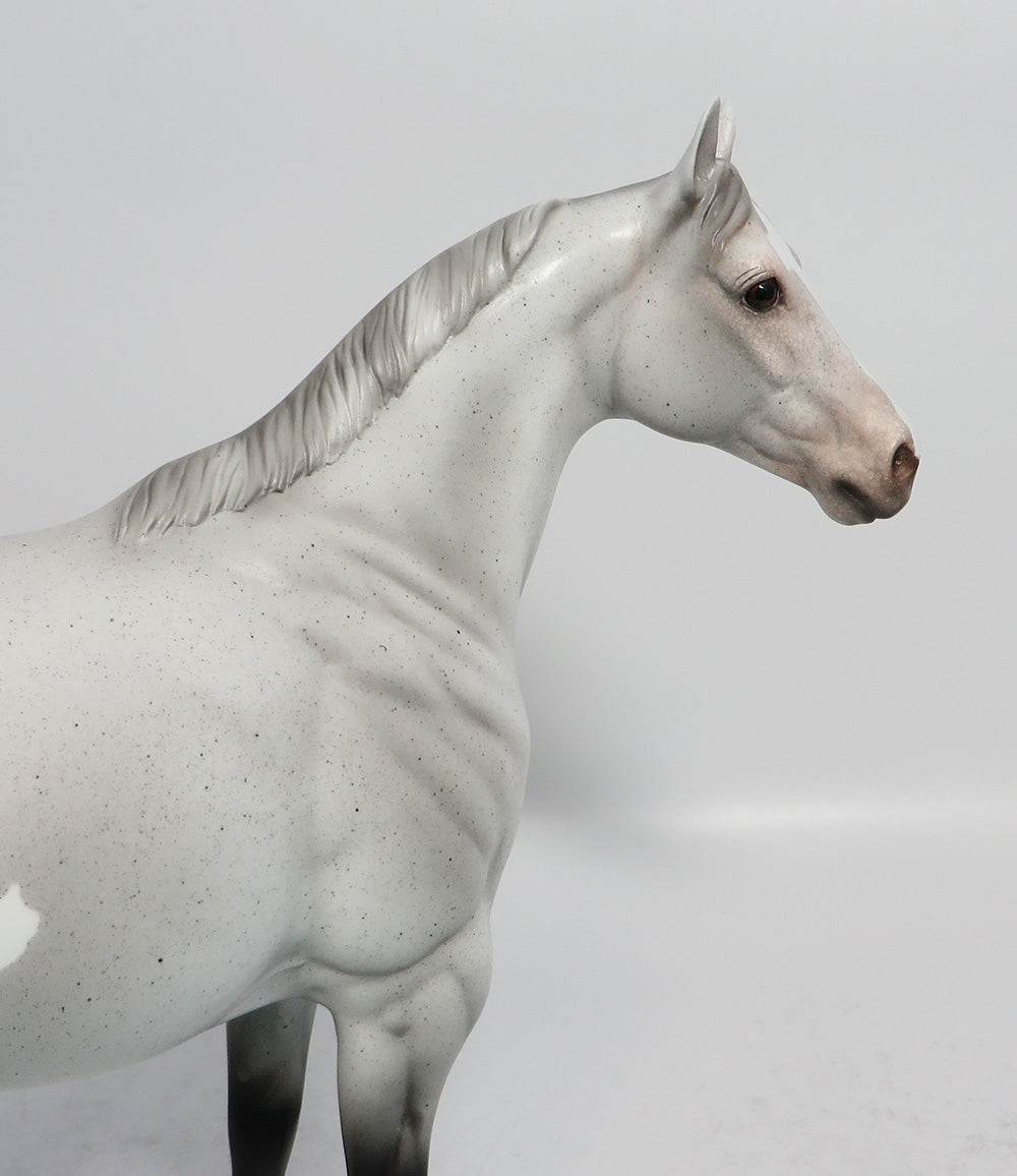 REPEAT AFTER ME-OOAK GREY APPALOOSA ISH MODEL HORSE EQUINE AFFAIRE 2018