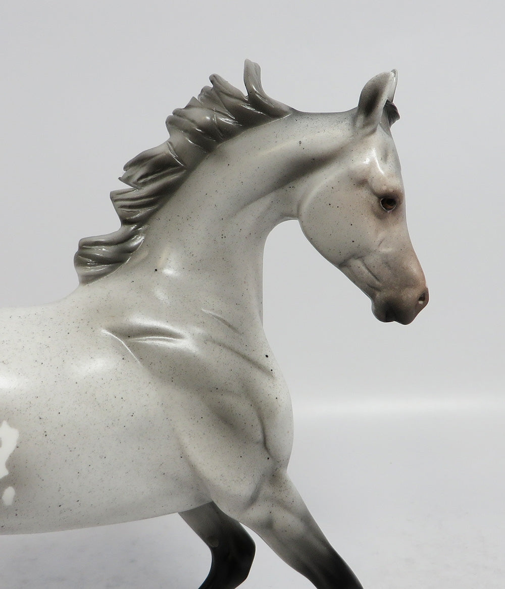 TOWN GAMBLER-LE-3 GREY APPALOOSA YEARLING MODEL HORSE EQUINE AFFAIRE 18