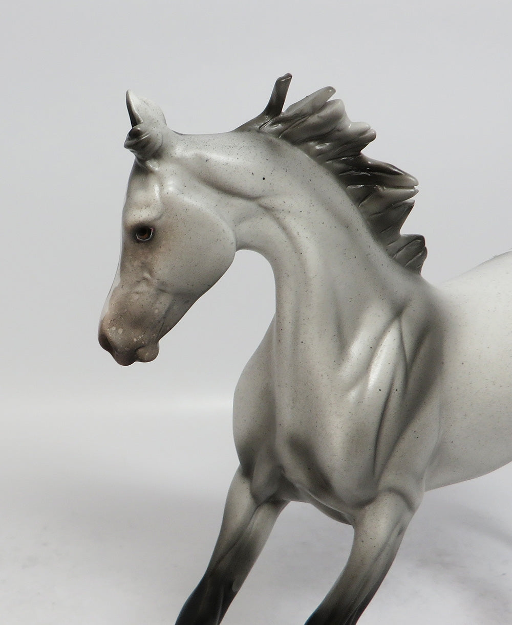 TOWN GAMBLER-LE-3 GREY APPALOOSA YEARLING MODEL HORSE EQUINE AFFAIRE 18