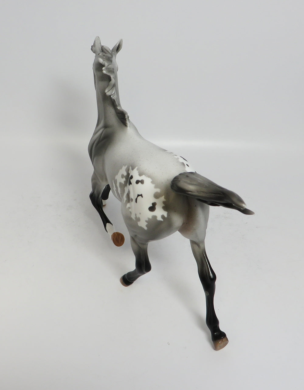 TOWN GAMBLER-LE-3 GREY APPALOOSA YEARLING MODEL HORSE EQUINE AFFAIRE 18