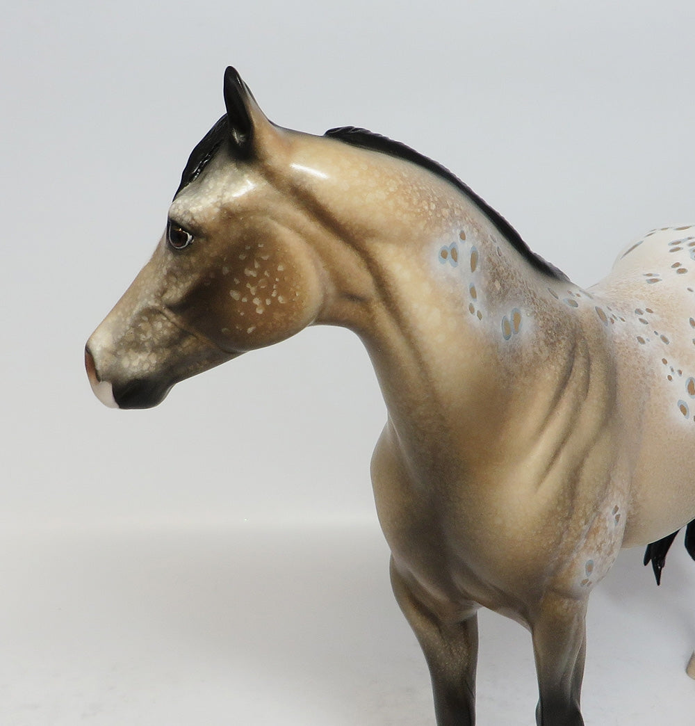 SUPER BOWL RING - OOAK BUCKSKIN APPALOOSA ISH MODEL HORSE BY DAWN SUPER BOWL SALE 2018