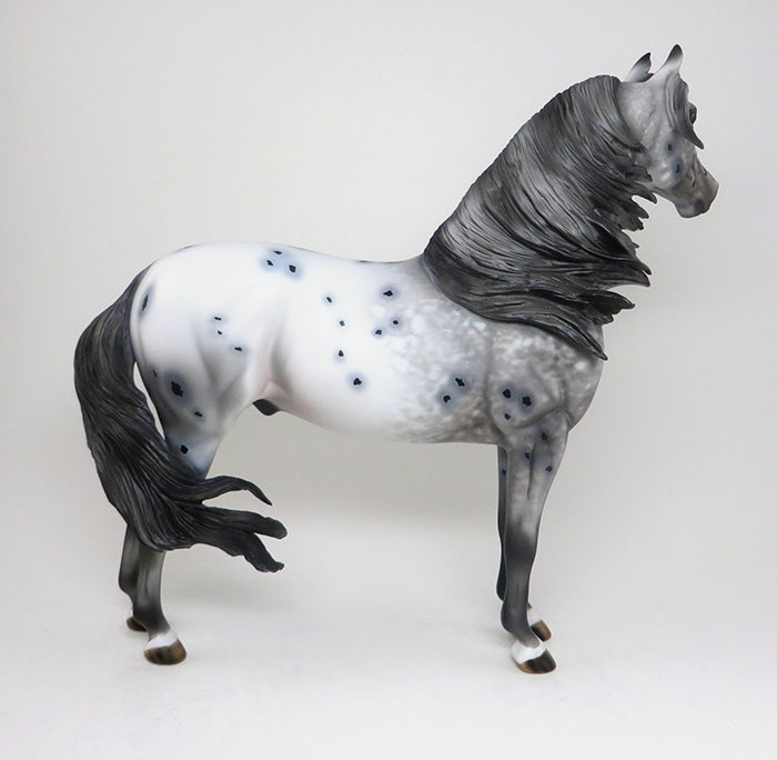 DOKKEN - OOAK CM APPALOOSA MORGAN MODEL HORSE by AL - 2/16