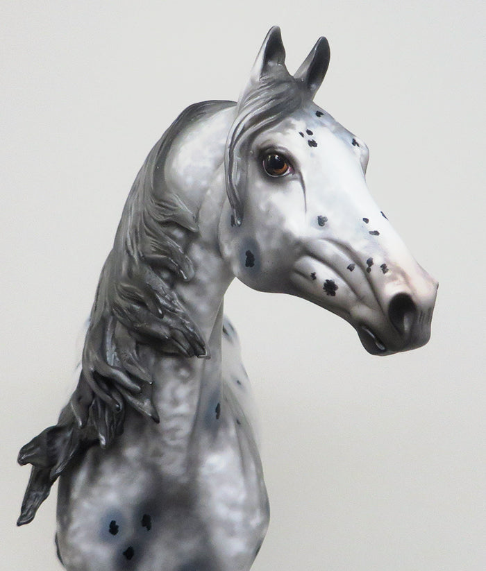 DOKKEN - OOAK CM APPALOOSA MORGAN MODEL HORSE by AL - 2/16