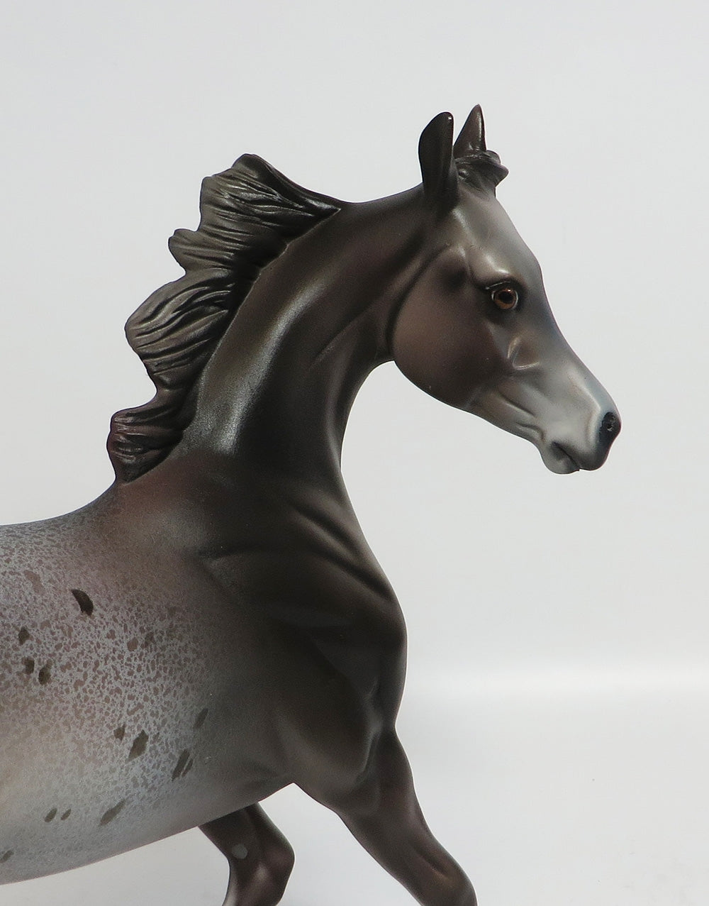 CHEERLEADER - OOAK DARK GREY APPALOOSA YEARLING MODEL HORSE BY DAWN QUICK SUPER BOWL SALE 2018