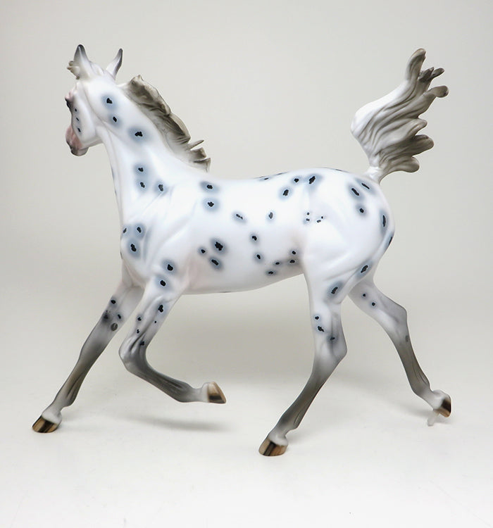 INXS - OOAK APPALOOSA YEARLING MODEL HORSE by AL - 2/16