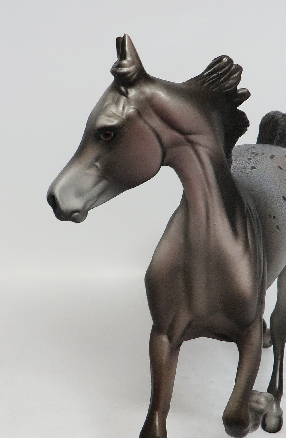 CHEERLEADER - OOAK DARK GREY APPALOOSA YEARLING MODEL HORSE BY DAWN QUICK SUPER BOWL SALE 2018