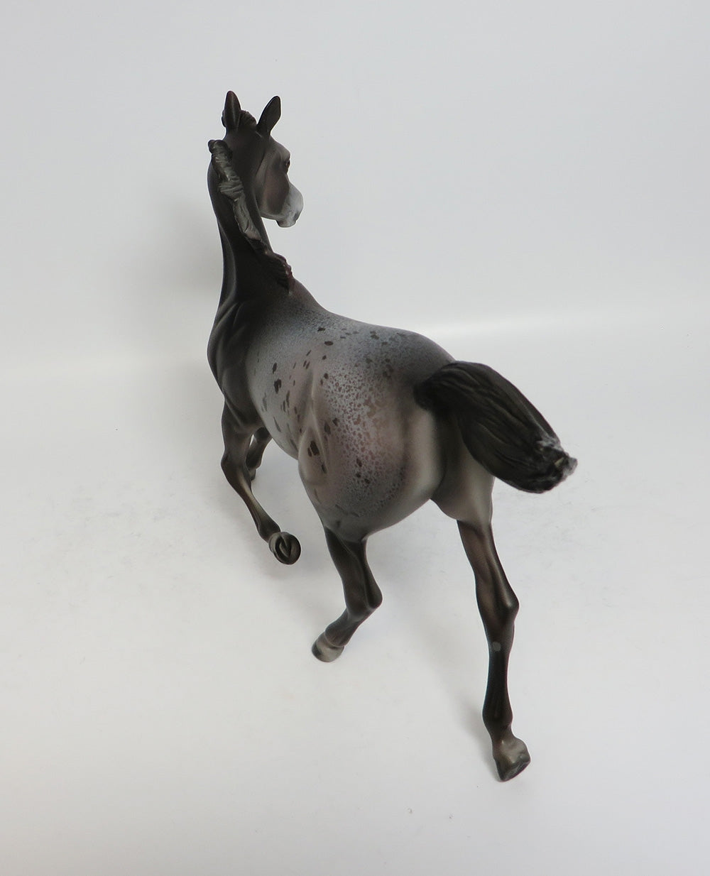 CHEERLEADER - OOAK DARK GREY APPALOOSA YEARLING MODEL HORSE BY DAWN QUICK SUPER BOWL SALE 2018