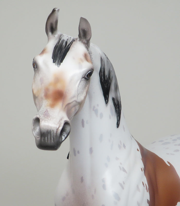 OOAK appaloosa