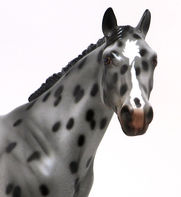 BEST OF SUDDEN LOUD - OOAK APPALOOSA ISH MODEL HORSE - 10/30