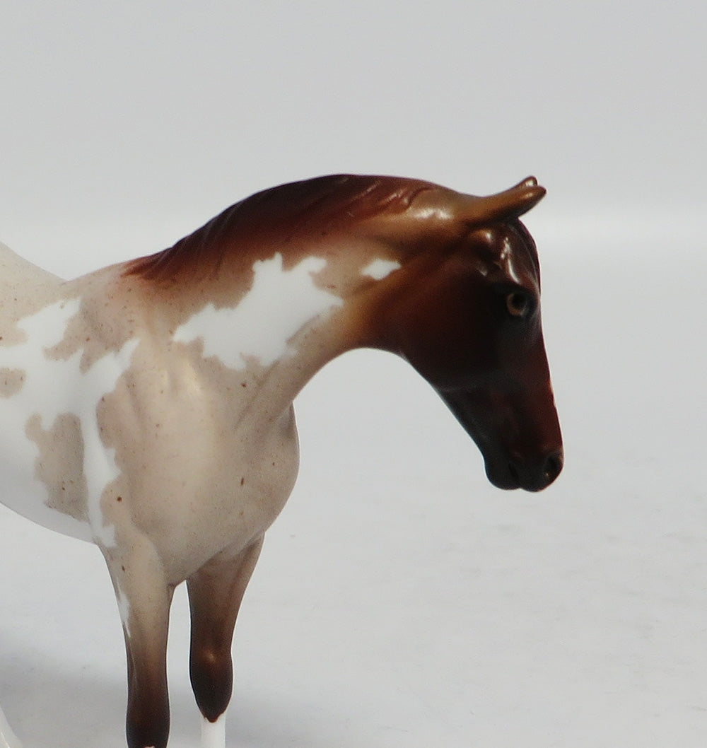 COIN TOSS - OOAK RED ROAN PINTO STOCK CHIP BY TANSLEY