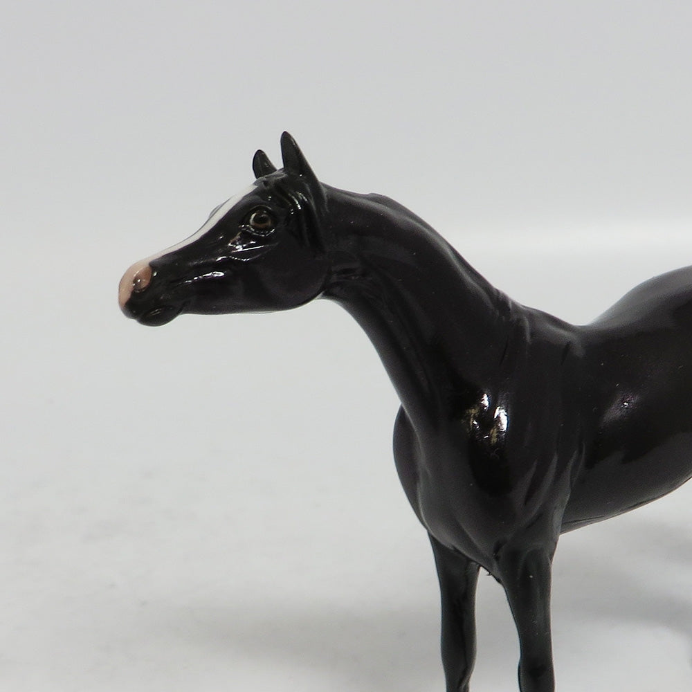 RAYNE-LE-15 BLACK ARABIAN CHIP MODEL HORSE SUPER BOWL SALE 2018